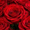 Букет из красных роз 60 см 3